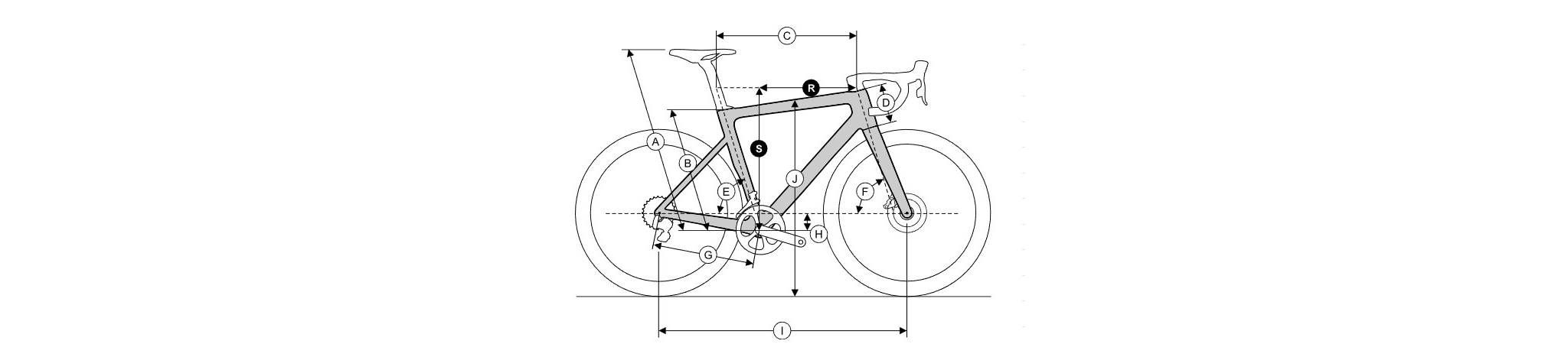 Ratas Ridley Kanzo Fast 2.0 Force 1x13 (M) – geomeetria joonis