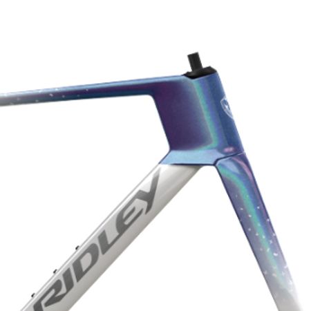 Noah 3.0 | Ridley