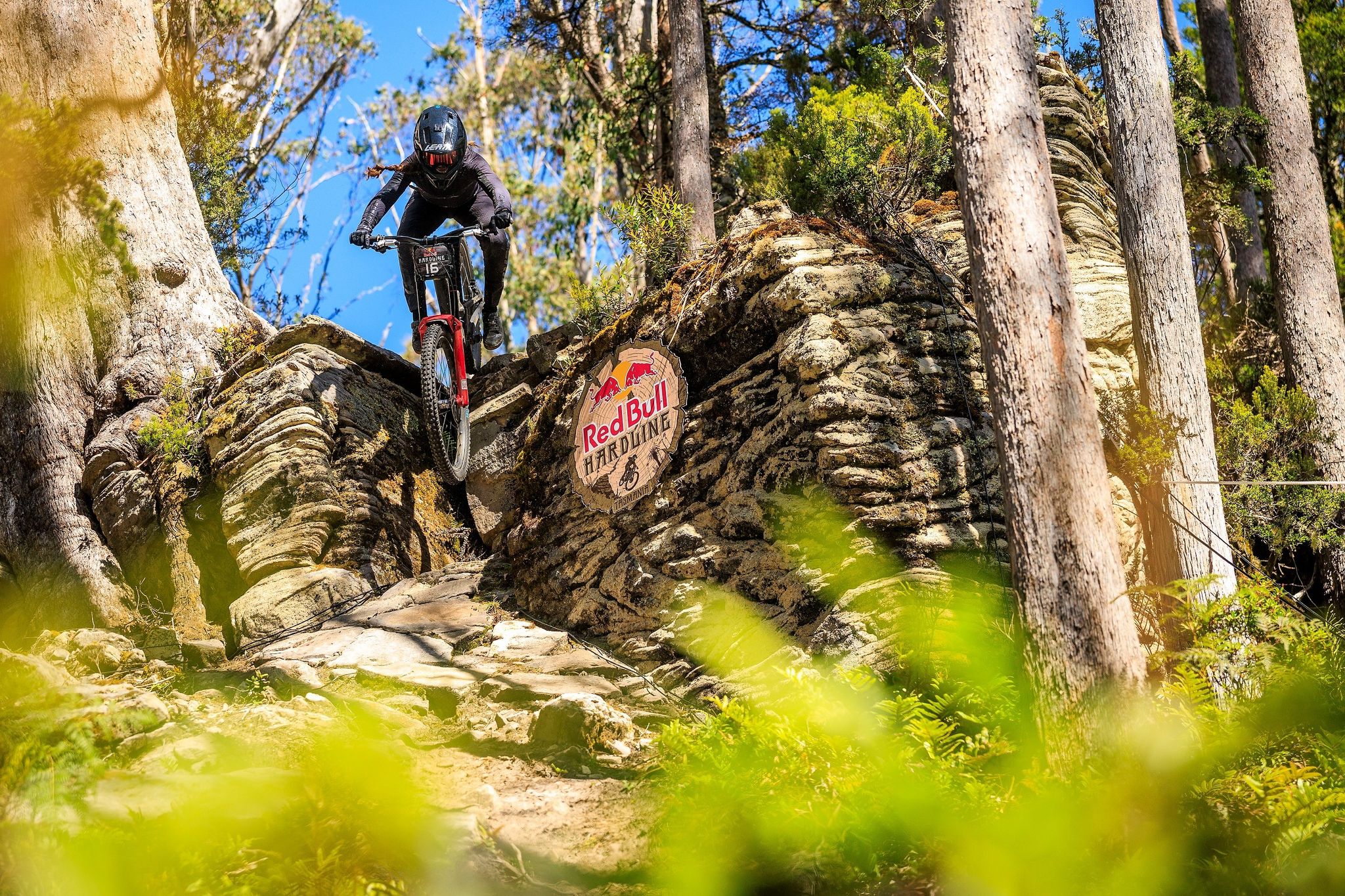 Hardline Tas26 M1 0162