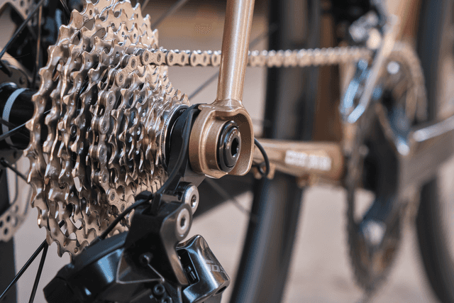 Universal Derailleur Hanger (UDH)