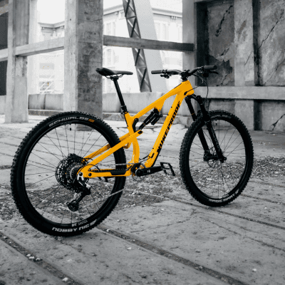 Adaptability and frame construction