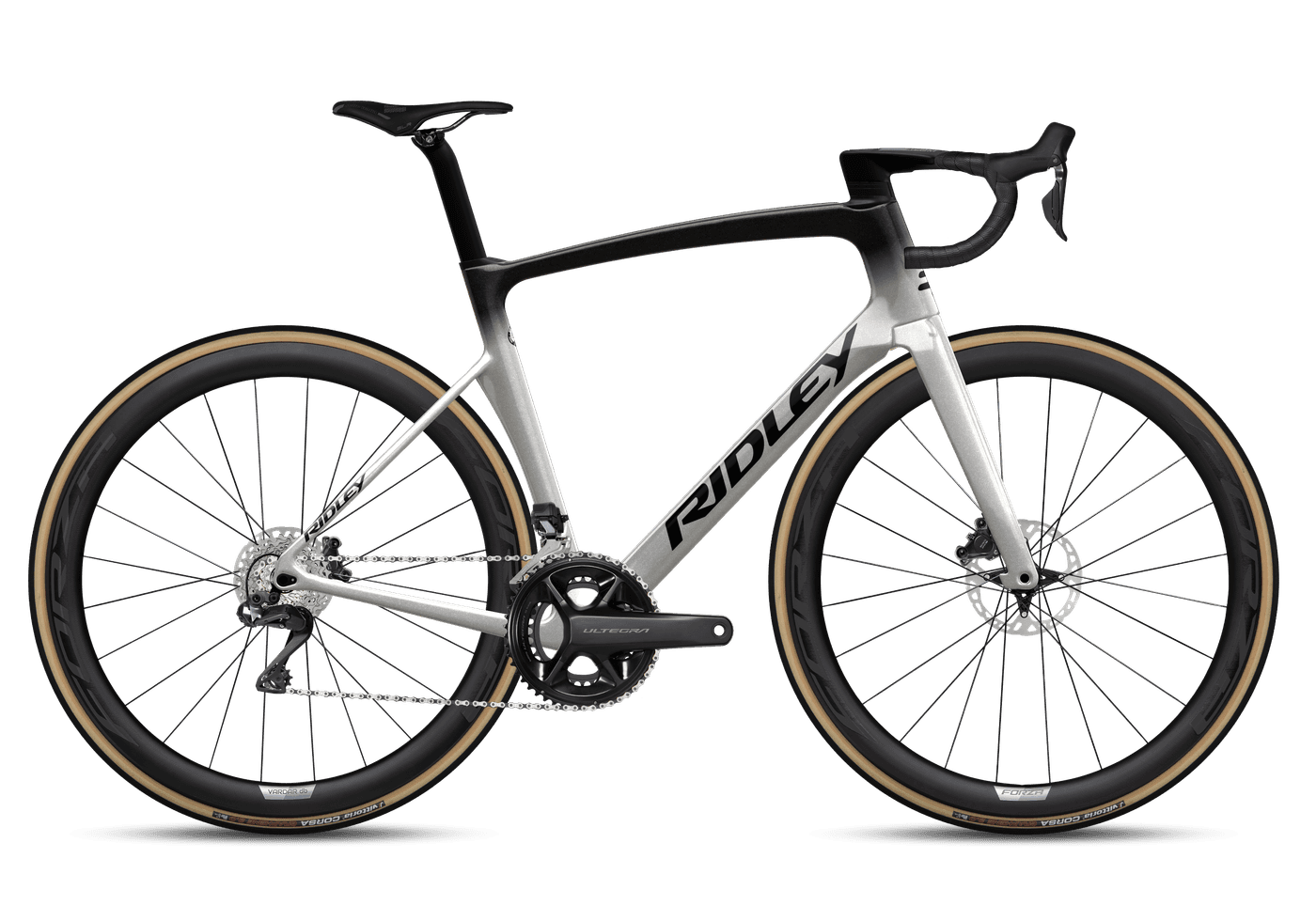 RIDLEY　NOAH RIDLEY　NOAH