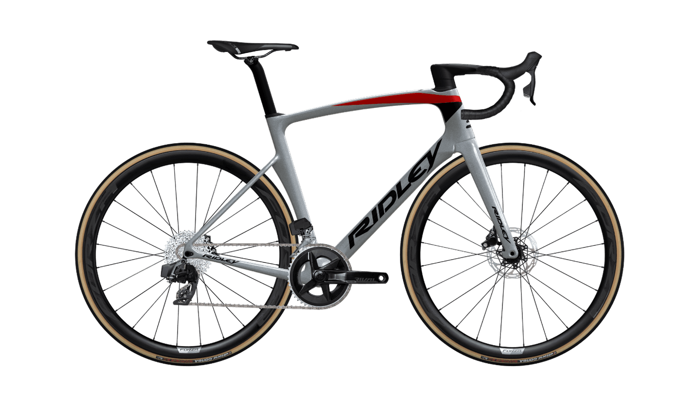 Noah Disc Rival Etap NHD01Bs(XL) | Ridley