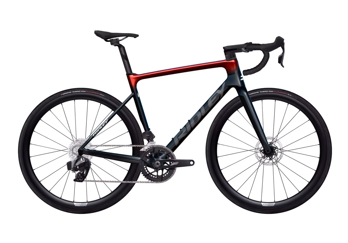 SBIFALRID203