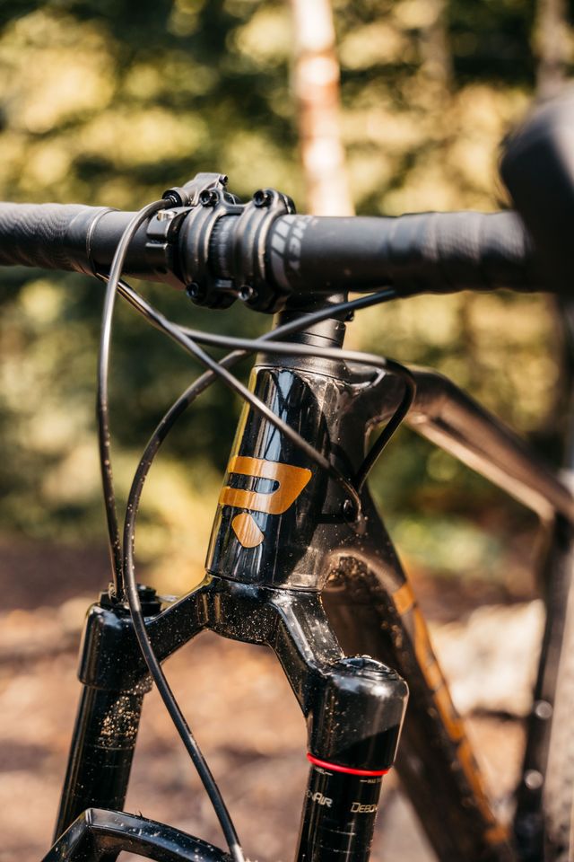 Suspension fork optional 