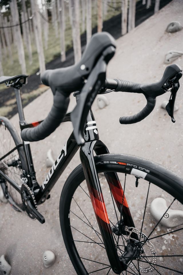 Ultralicht carbon frame
