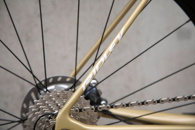 Comfort seatstays